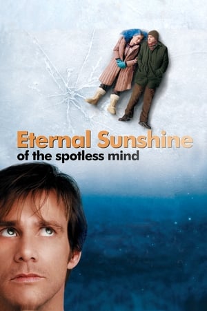 Eternal Sunshine Of The Spotless Mind 2004 Hindi Dual Audio 480p BluRay 300MB - Movierulz