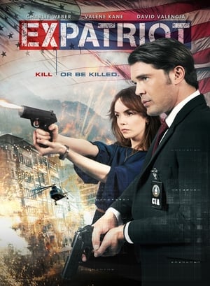 ExPatriot 2017 Hindi Dual Audio 480p BluRay 300MB - Movierulz