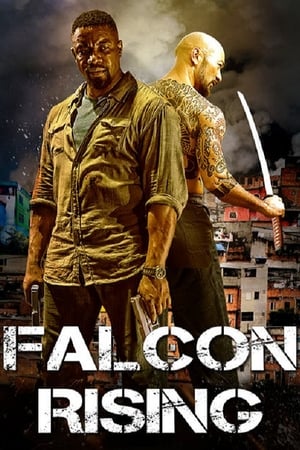 Falcon Rising (2014) Hindi Dual Audio 480p BluRay 300MB - Movierulz