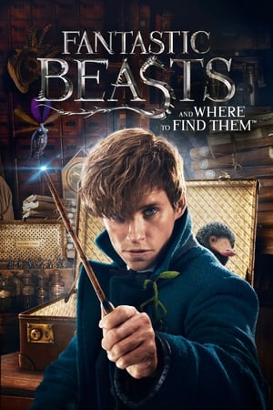 Fantastic Beasts and Where to Find Them 2016 HD-TS x264 [600MB] - Movierulz