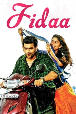 Fidaa 2017 [Hindi - Telugu] Dual Audio 480p Uncut HDRip 450MB