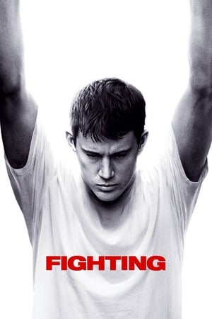 Fighting (2009) Hindi Dual Audio 720p BluRay [1.1GB] - Movierulz