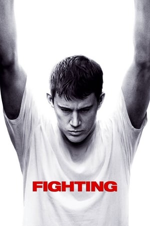 Fighting (2009) 100mb Hindi Dual Audio Hevc BRRip Download - Movierulz