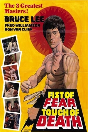 Fist of Fear Touch of Death 1980 Hindi Dual Audio 720p DVDRip [1GB] - Movierulz