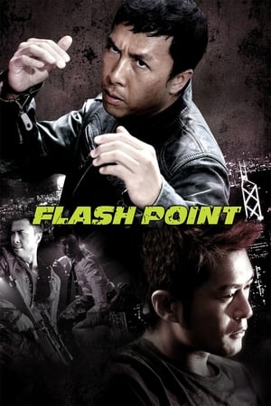 Flash Point (2007) Hindi Dual Audio 480p BluRay 300MB - Movierulz