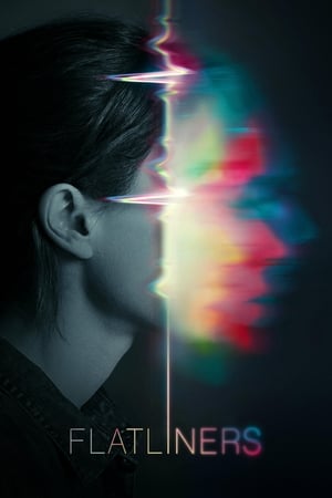 Flatliners (2017) Hindi Dual Audio HDRip 720p – 480p - Movierulz