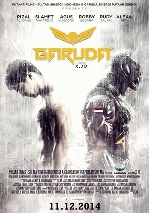 Garuda Superhero (2015) Hindi Dubbed 480p HDRip 300MB - Movierulz