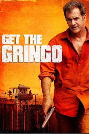 Get the Gringo (2012) Hindi Dual Audio 480p BluRay 300MB - Movierulz