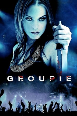 Groupie (2010) Hindi Dual Audio 480p BluRay 300MB - Movierulz