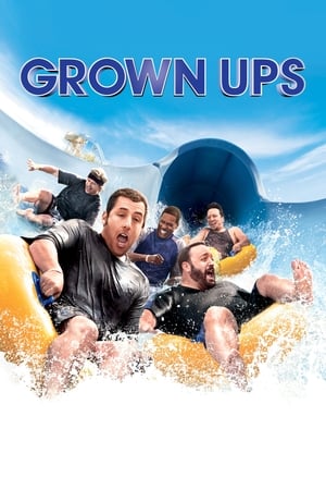 Grown Ups (2010) Hindi Dual Audio 480p BluRay 300MB - Movierulz