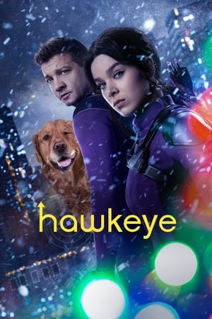 HawkEye (2021) Season 1 Dual Audio Hindi HDRip – 720p – 480p [1- 6 Episodes] - Movierulz