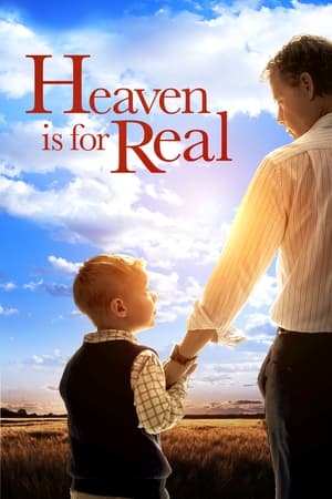 Heaven Is for Real (2014) Hindi Dual Audio 480p BluRay 300MB - Movierulz