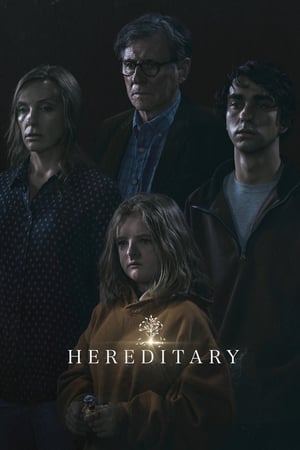 Hereditary 2018 Hindi Dual Audio HDRip 720p – 480p - Movierulz