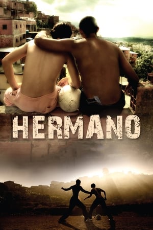 Hermano 2010 Hindi Dual Audio 480p BluRay 300MB - Movierulz