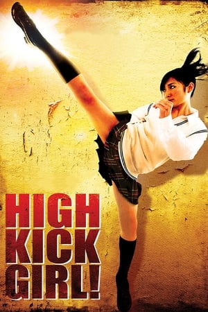 High Kick Girl (2009) 100mb Hindi Dual Audio movie Hevc BRRip Download - Movierulz