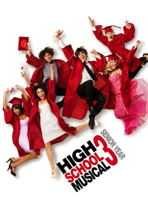 High School Musical 3 (2008) Hindi Dual Audio 480p BluRay 350MB - Movierulz