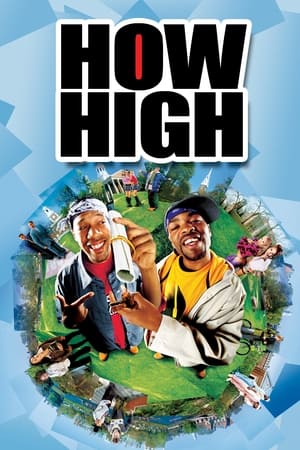 How High (2001) Hindi Dual Audio 480p WebRip 300MB - Movierulz