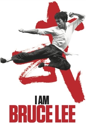 I Am Bruce Lee 2012 300MB Hindi Dual Audio Bluray 480p - Movierulz