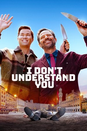I Don't Understand You (2024) WEBRIP Hindi (MULTI AUDIO) 720p – 480p – 1080p