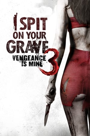 I Spit on Your Grave: Vengeance Is Mine (2015) Hindi Dual Audio HDRip 720p – 480p - Movierulz