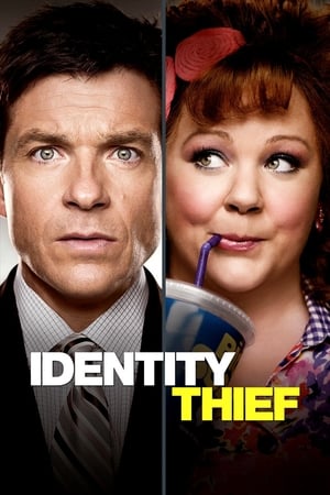 Identity Thief (2013) Hindi Dual Audio 480p BluRay 350MB - Movierulz