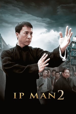 Ip Man 2 (2010) Hindi Dual Audio 720p BluRay [1GB] - Movierulz