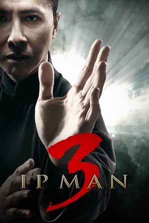 Ip Man 3 (2015) Hindi Dual Audio 720p HDRip [900MB] - Movierulz