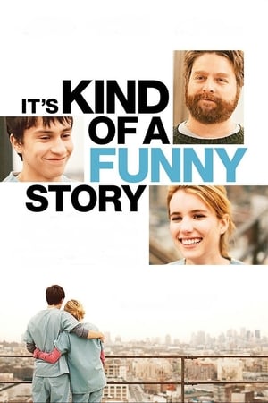 It's Kind of a Funny Story (2010) Hindi Dual Audio 480p BluRay 330MB ESubs - Movierulz