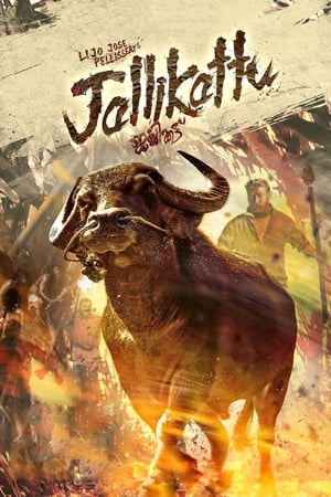 Jallikattu (2019) (Hindi – Malayalam) Dual Audio UnCut HDRip 720p – 480p - Movierulz