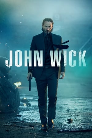 John wick 2014 100mb Hindi Dual Audio movie Hevc BRRip Download - Movierulz