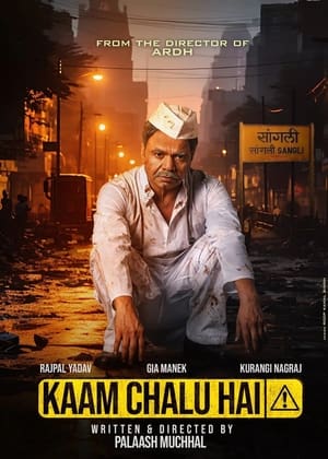 Kaam Chalu Hai 2024 Hindi HDRip 720p – 480p – 1080p - Movierulz