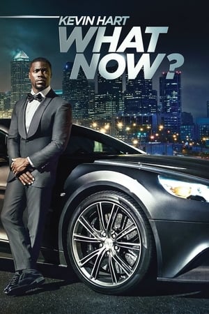 Kevin Hart: What Now? (2016) Full Movie Download [DVDRip] 500MB - Movierulz