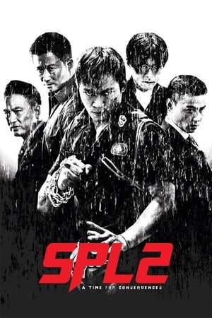 Kill Zone 2 (2015) Hindi Dual Audio 480p BluRay 400MB - Movierulz