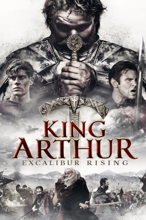 King Arthur: Excalibur Rising 2017 Hindi Dual Audio HDRip 720p – 480p - Movierulz