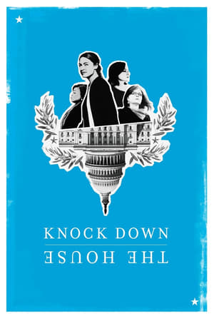 Knock Down the House (2019) Hindi Dual Audio 480p Web-DL 300MB - Movierulz