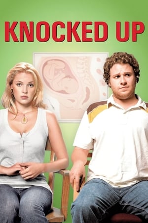 Knocked Up (2007) Hindi Dual Audio 480p BluRay 350MB - Movierulz