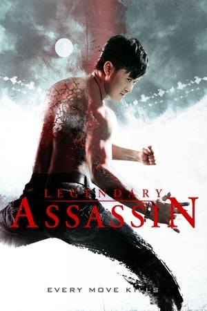 Legendary Assassin (2008) Hindi Dual Audio 480p BluRay 300MB - Movierulz