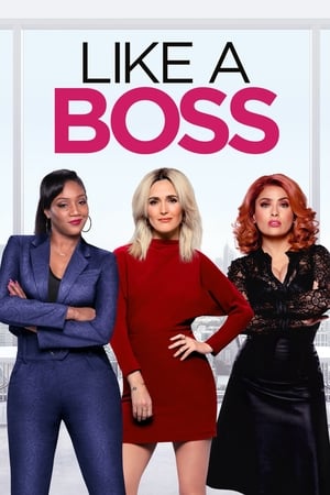 Like a Boss (2020) Hindi Dual Audio 720p Web-DL [760MB]