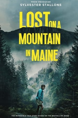 Lost on a Mountain in Maine 2024 Hindi Dubbed CAMRip 1080p - Movierulz