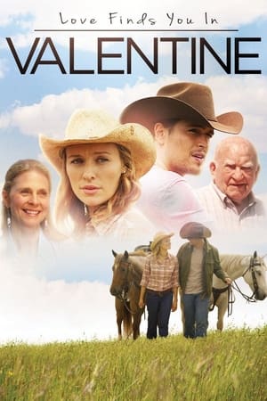 Love Finds You in Valentine (2016) Hindi Dual Audio 480p BluRay 300MB - Movierulz