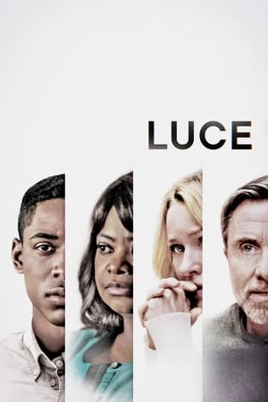 Luce 2019 Hindi Dual Audio 480p Web-DL 340MB - Movierulz