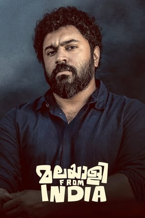 Malayalee from India (2024) [Hindi + Malayalam] HDRip 720p – 480p – 1080p - Movierulz