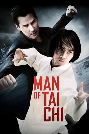 Man of Tai Chi (2013) Hindi Dual Audio HDRip 720p – 480p - Movierulz