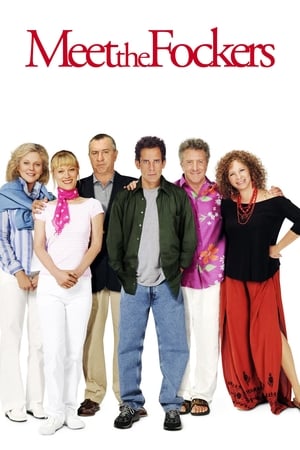 Meet the Fockers 2004 Hindi Dual Audio 480p BluRay 350MB - Movierulz