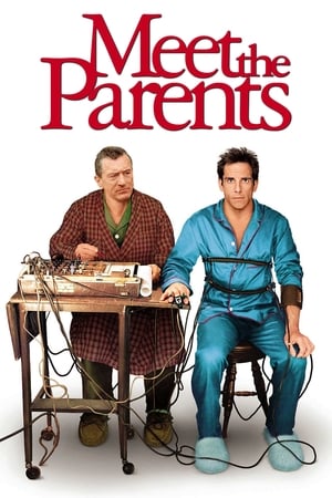 Meet the Parents 2000 Hindi Dual Audio 480p BluRay 350MB - Movierulz