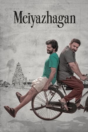 Meiyazhagan 2024 Hindi Dual Audio HDRip 1080p – 720p – 480p - Movierulz