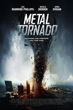 Metal Tornado 2011 Hindi Dual Audio 480p BluRay 300MB - Movierulz