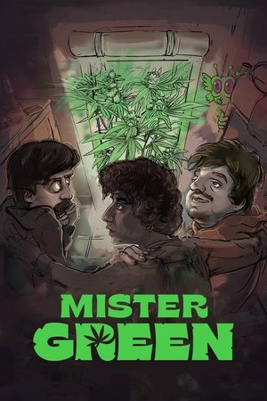Mister Green (2024) WEBRIP Hindi (MULTI AUDIO) 720p – 480p – 1080p