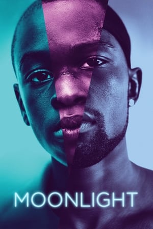 Moonlight (2016) Full Movie [HDCAM] 800MB - Movierulz