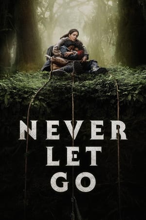 Never Let Go 2024 Hindi Dual Audio HDRip 1080p – 720p – 480p - Movierulz